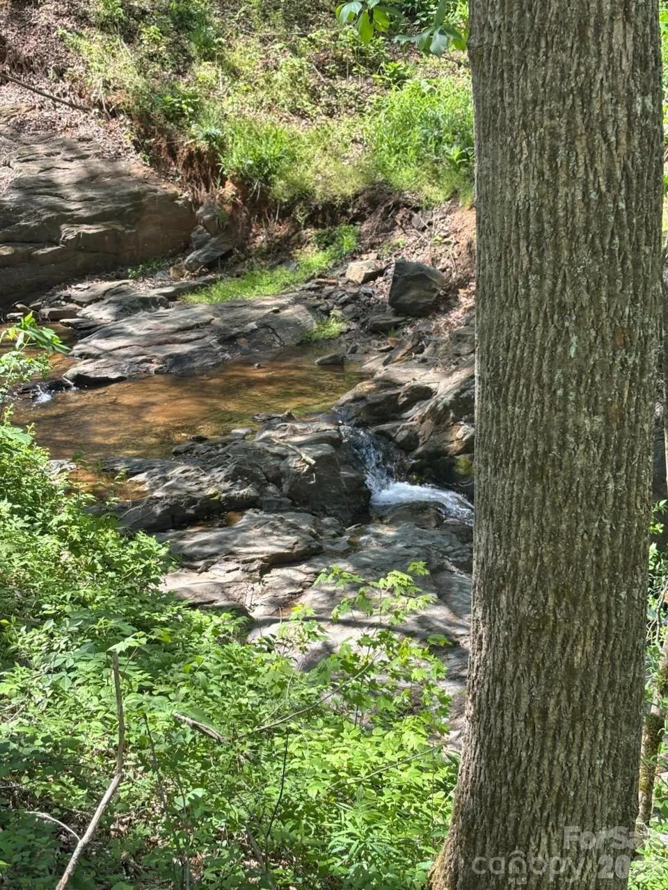 324 Marble Mine Road Bakersville, NC 28705