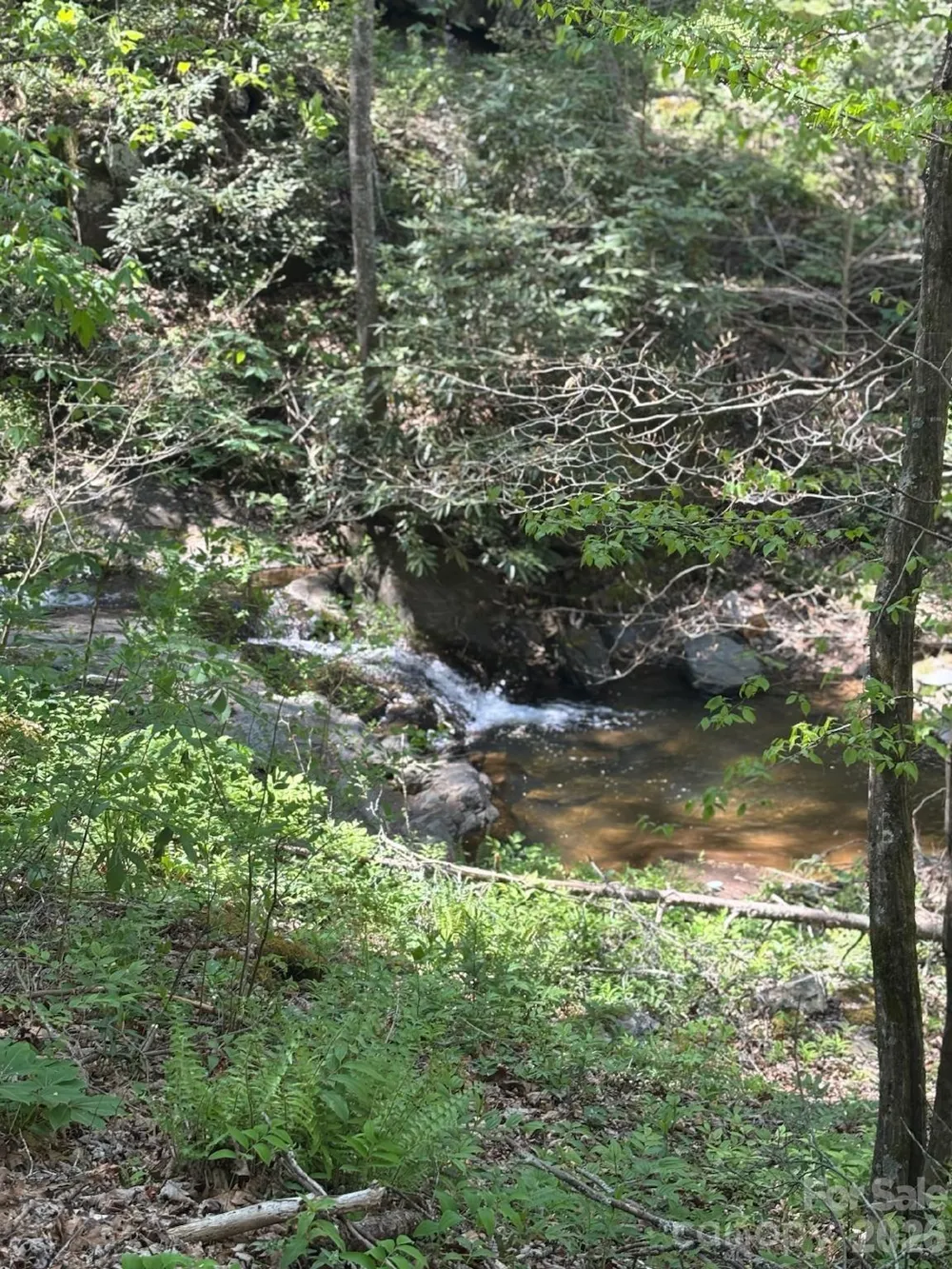 324 Marble Mine Road Bakersville, NC 28705