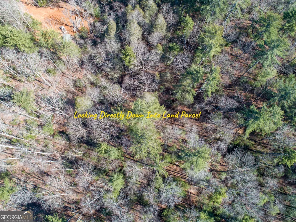 0 Bartox DR Ellijay, GA 30540