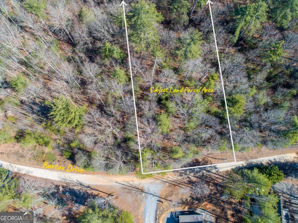 0 Bartox DR Ellijay, GA 30540