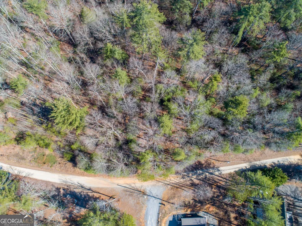 0 Bartox DR Ellijay, GA 30540