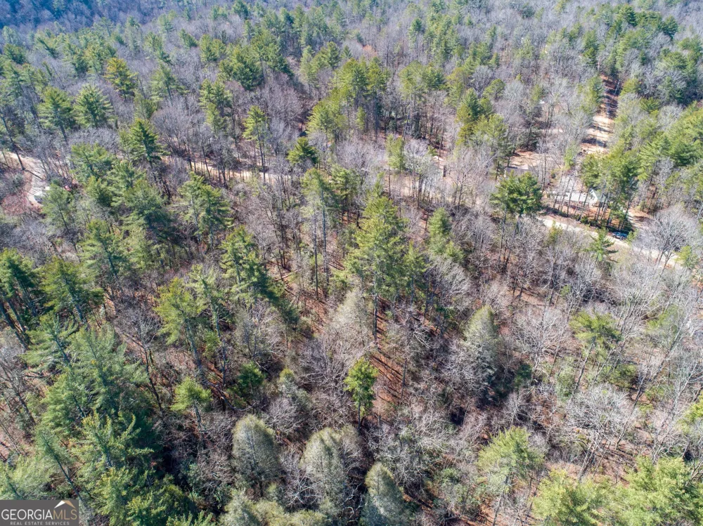 0 Bartox DR Ellijay, GA 30540