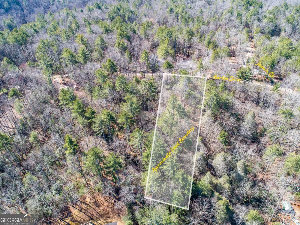 0 Bartox DR Ellijay, GA 30540