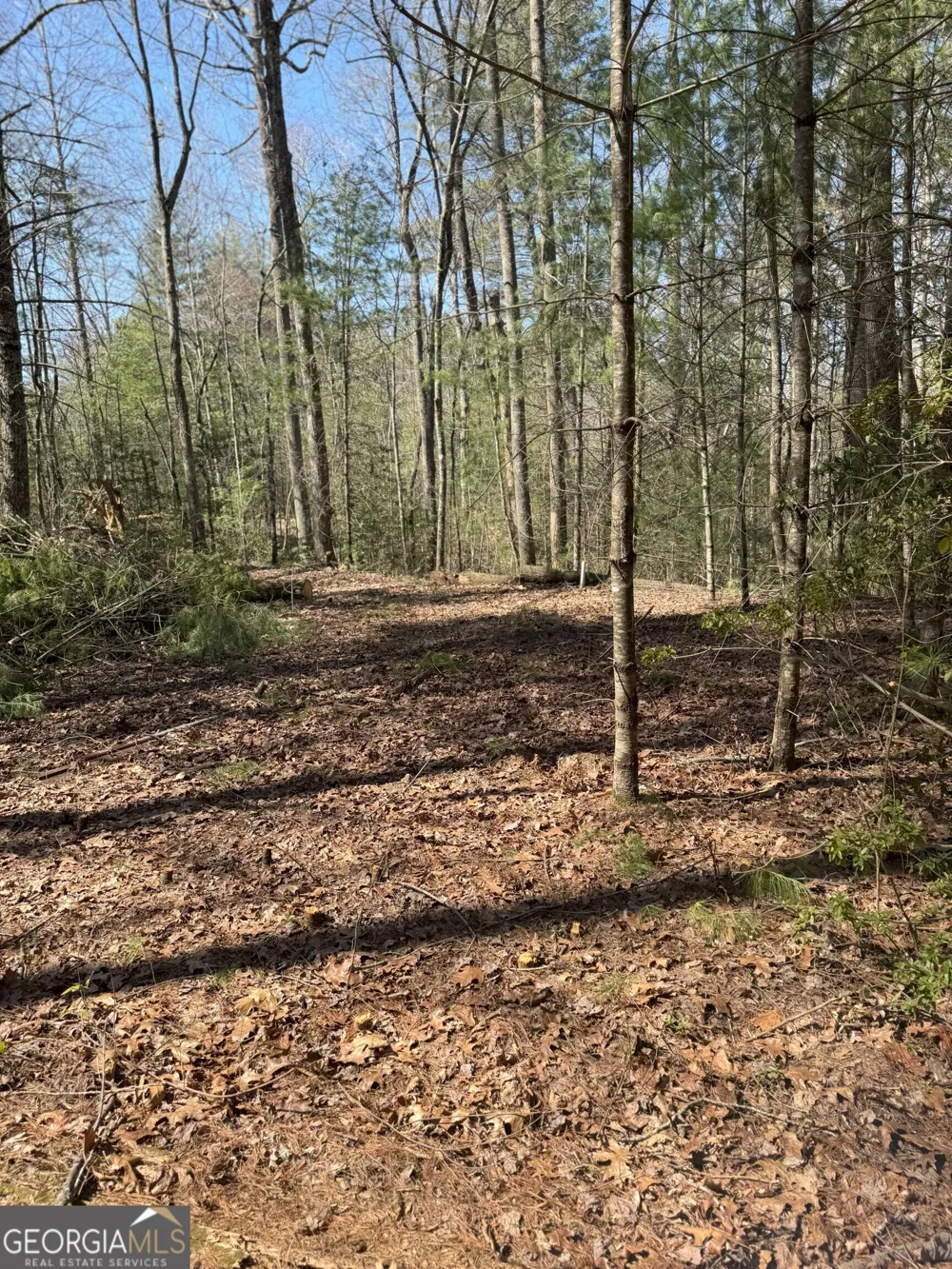 0 Bartox DR Ellijay, GA 30540