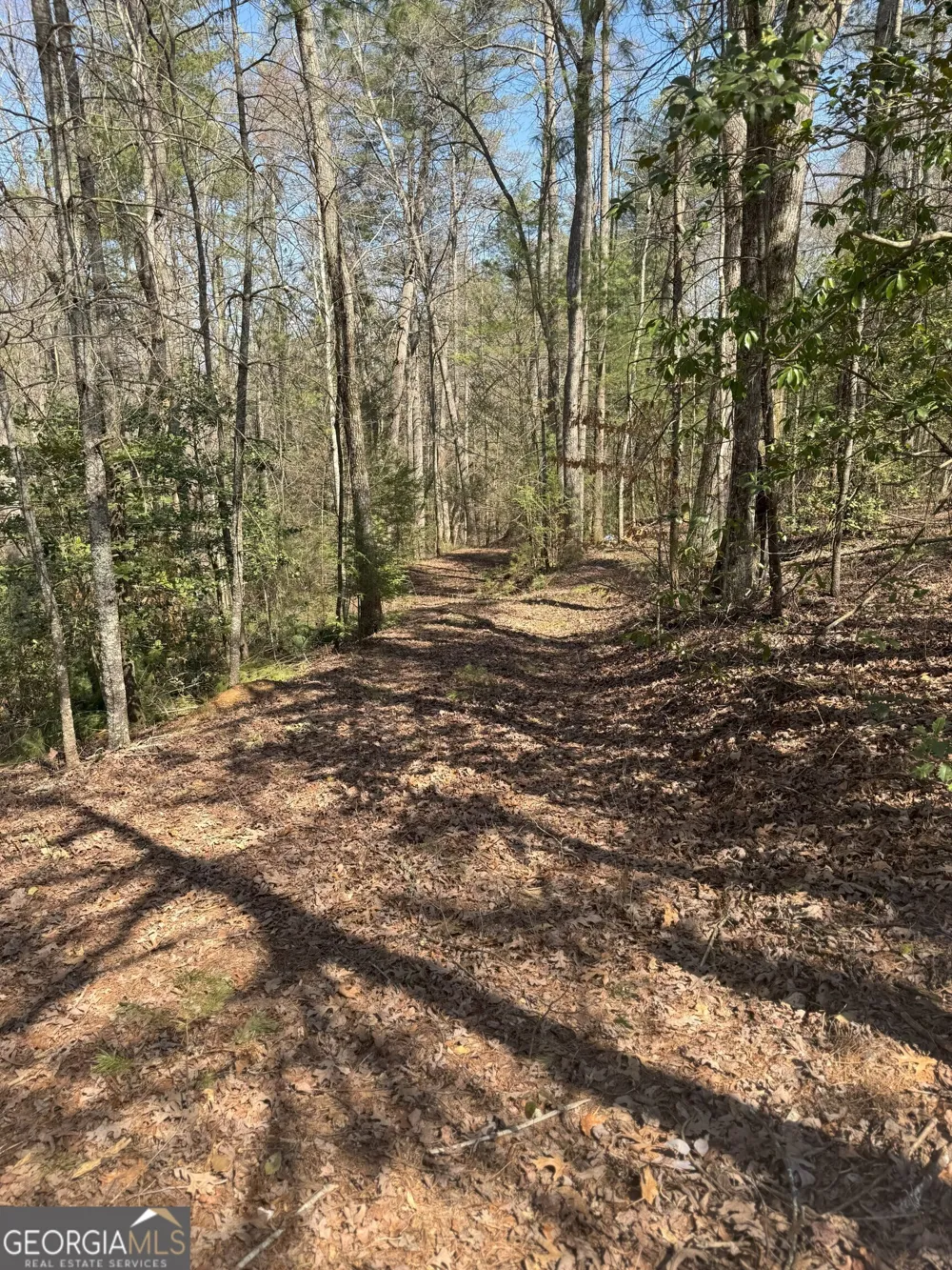 0 Bartox DR Ellijay, GA 30540