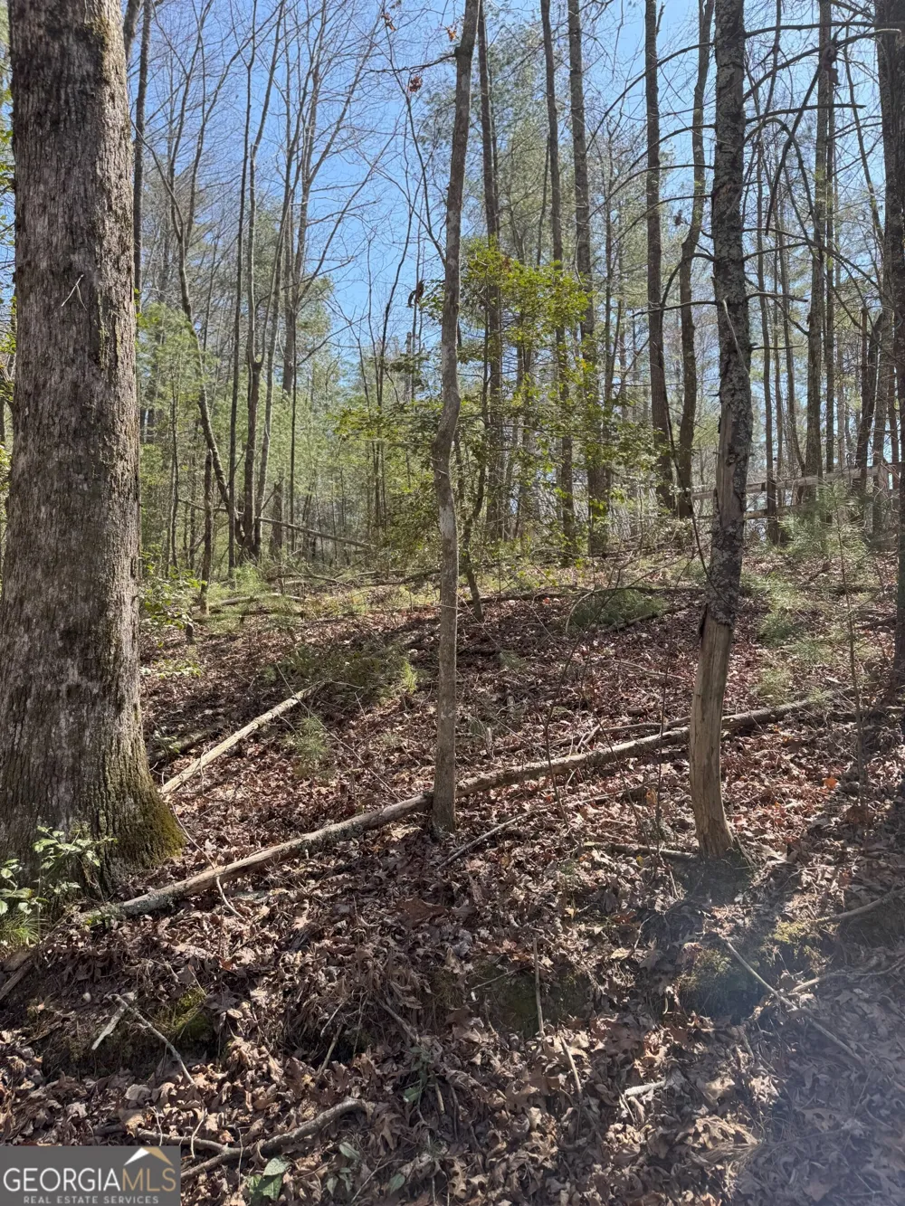 0 Bartox DR Ellijay, GA 30540