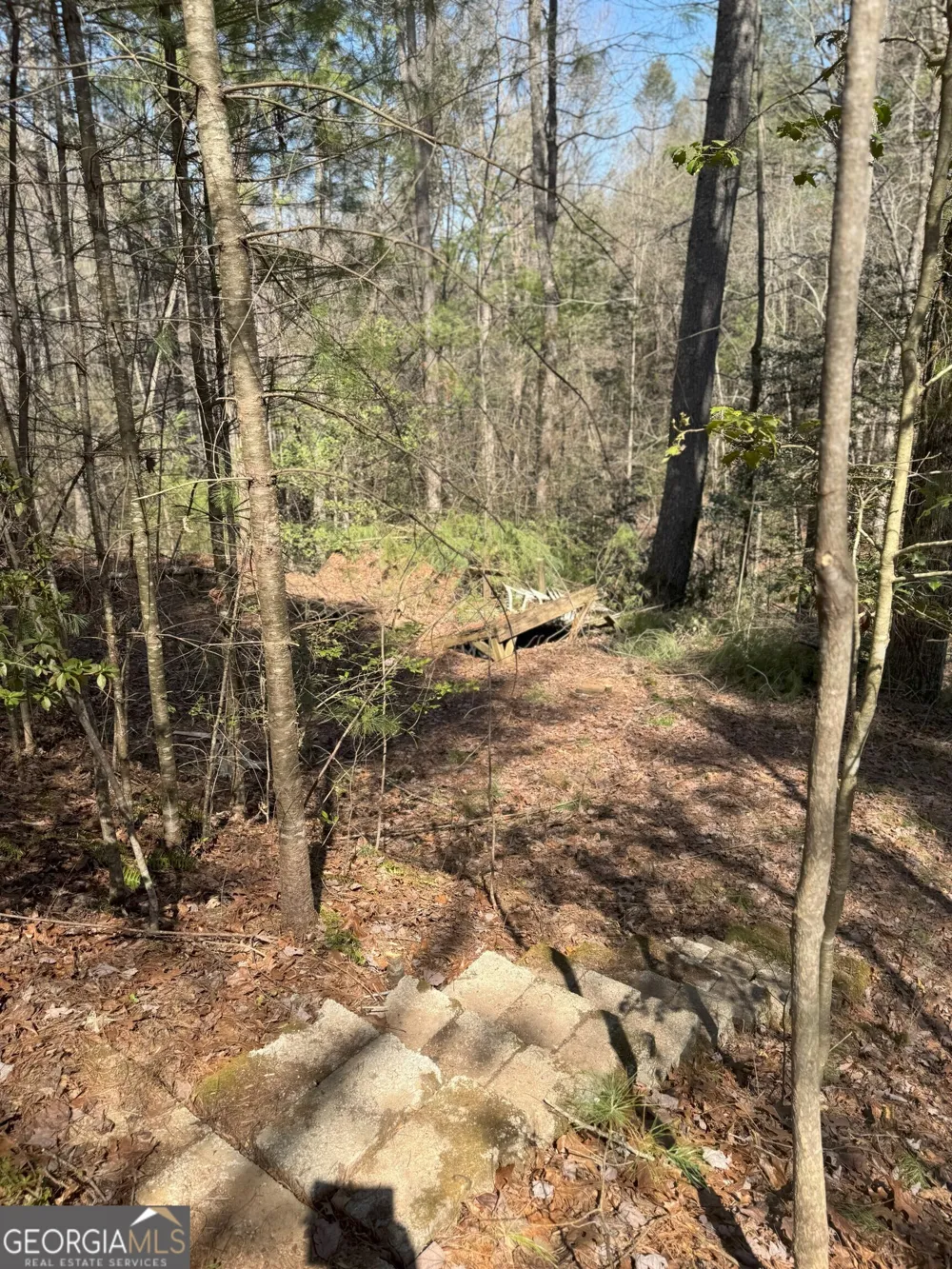 0 Bartox DR Ellijay, GA 30540