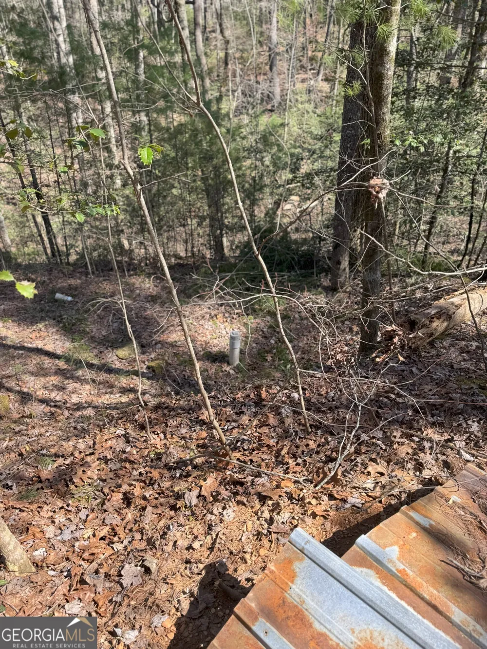 0 Bartox DR Ellijay, GA 30540