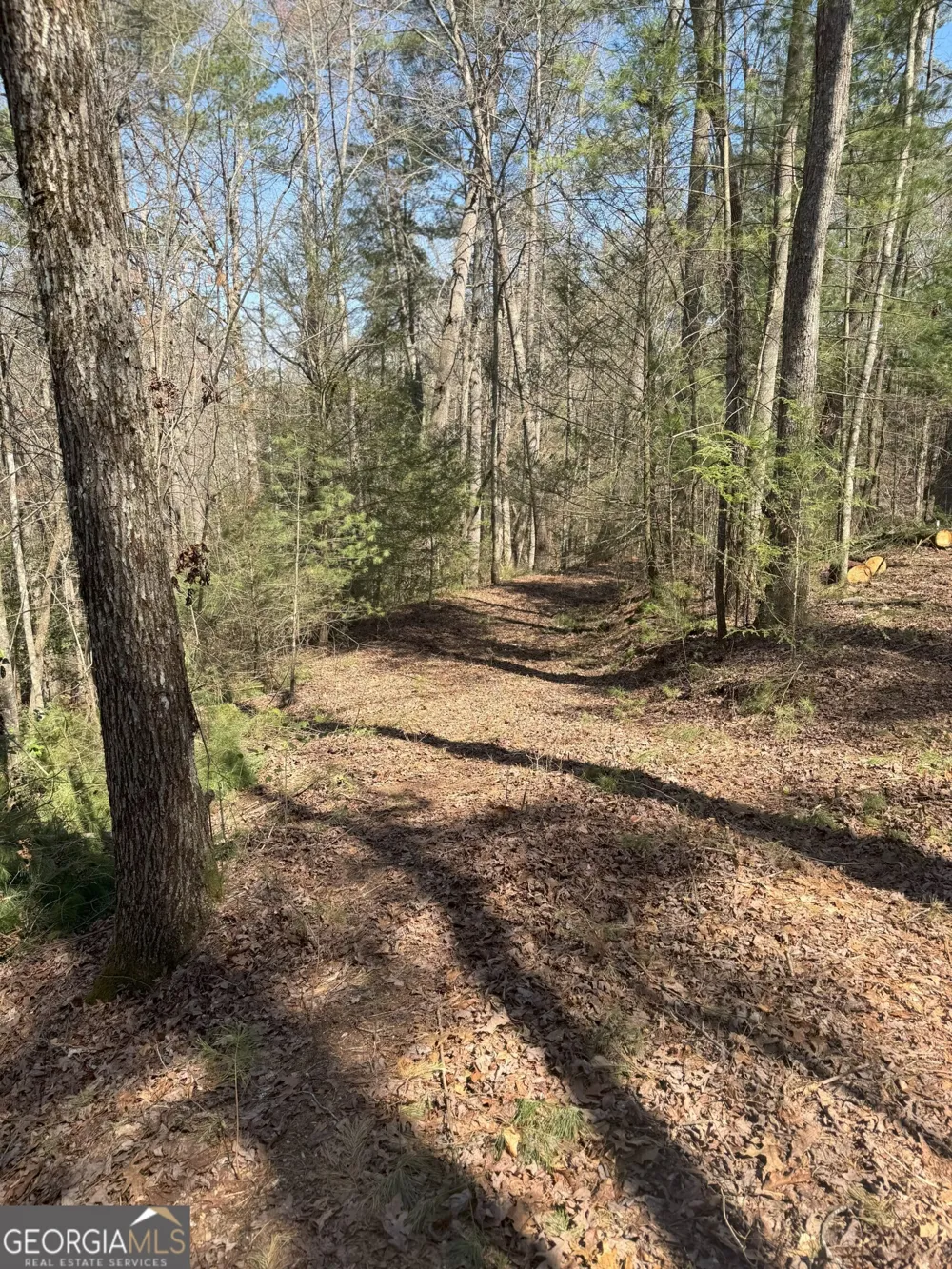 0 Bartox DR Ellijay, GA 30540