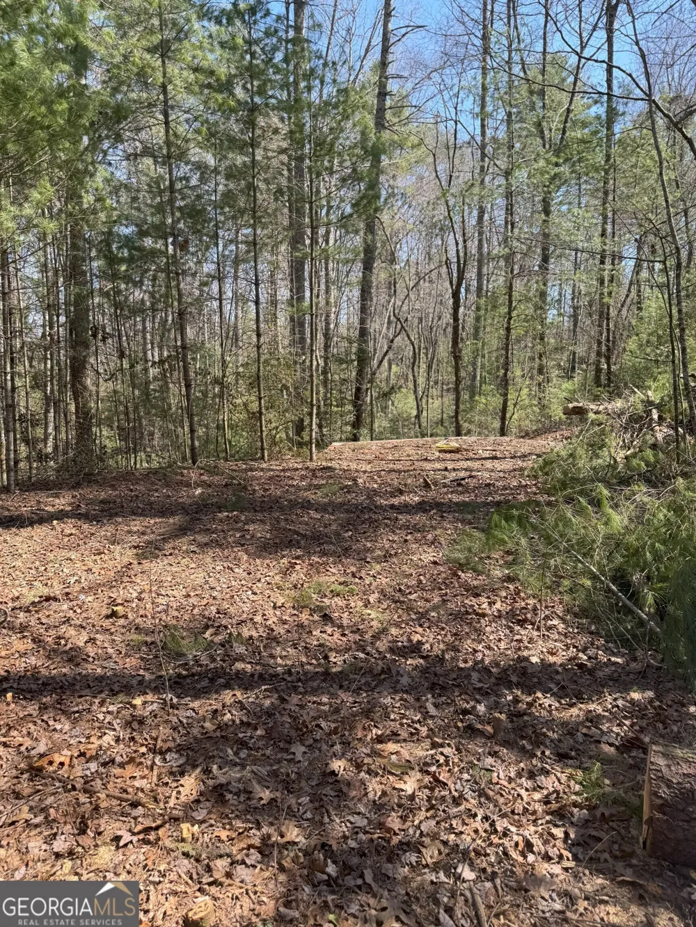 0 Bartox DR Ellijay, GA 30540