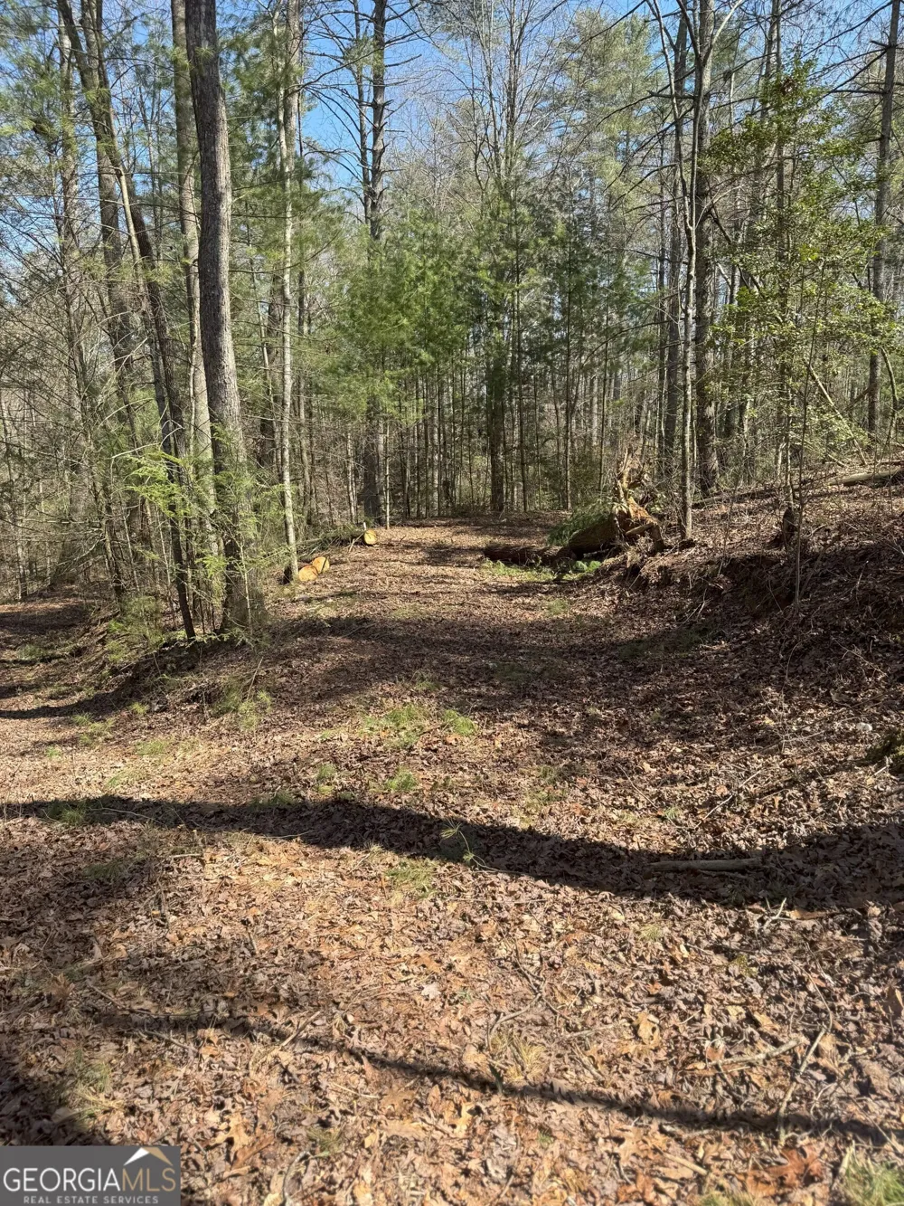 0 Bartox DR Ellijay, GA 30540