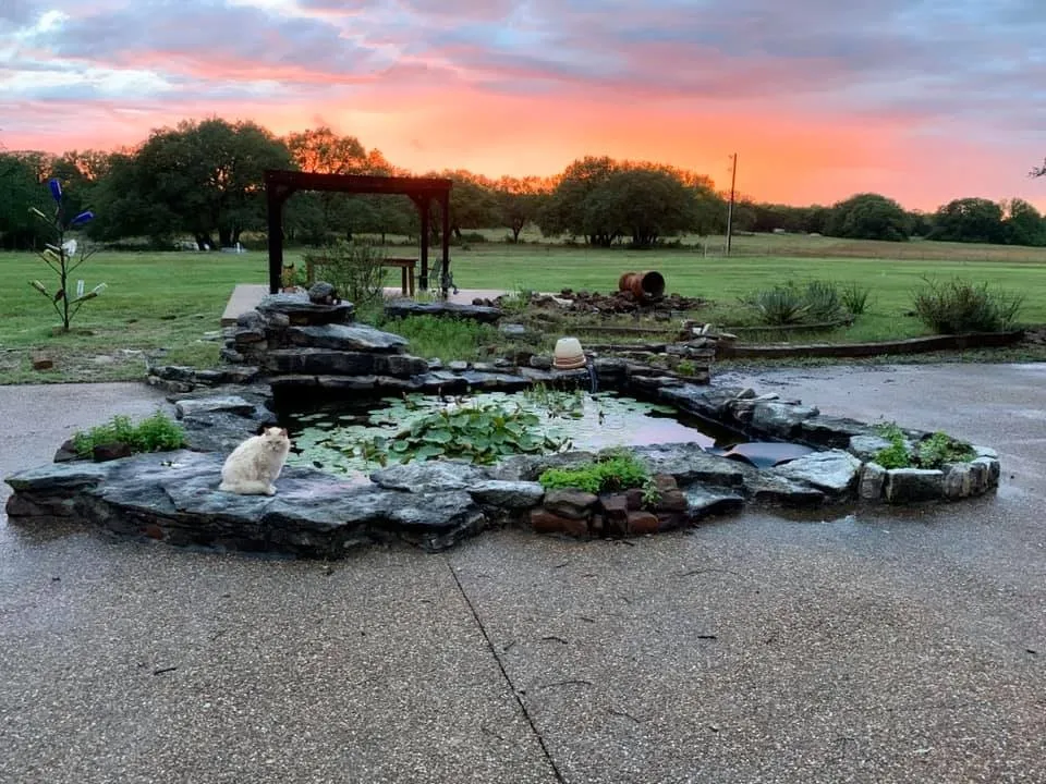 9051 Fm 205 Bluff Dale, TX 76433