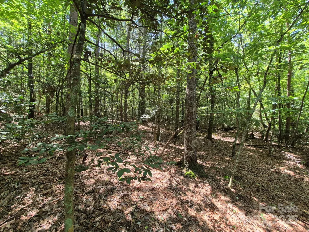 000 16th Street NE Hickory, NC 28601