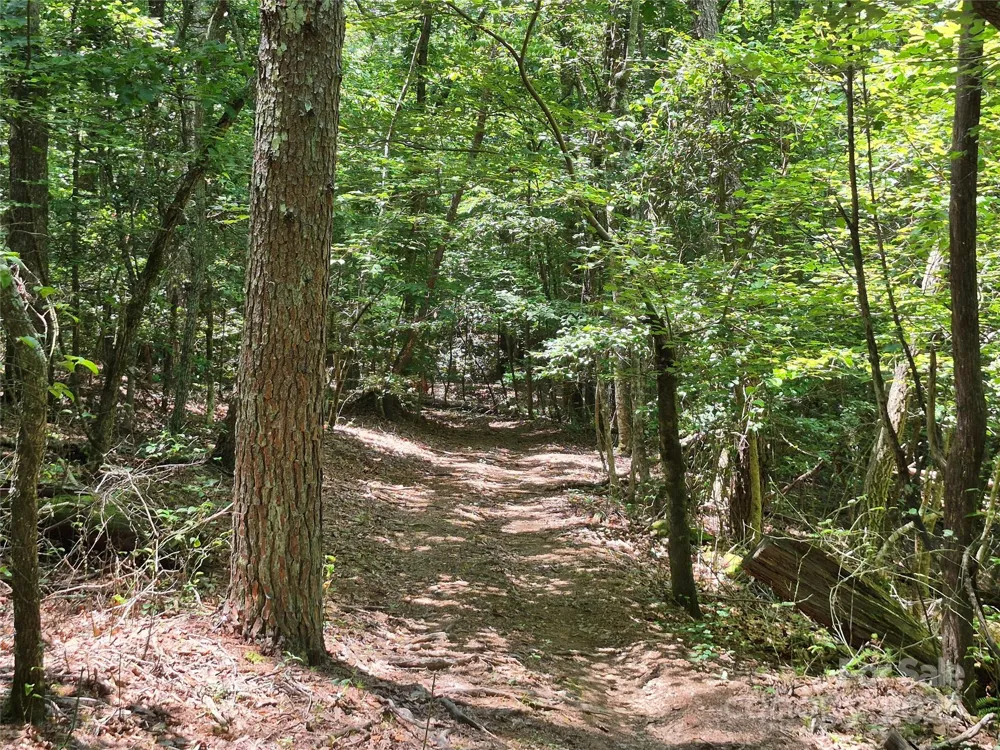 000 16th Street NE Hickory, NC 28601