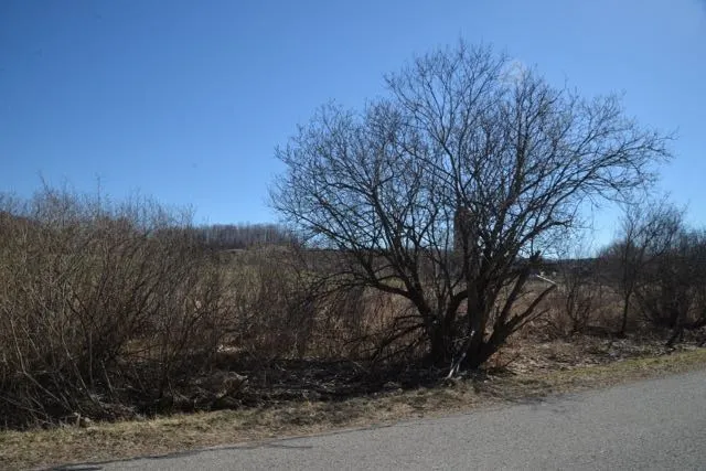 Wilson Road Echo Township, MI 49727