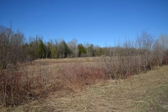 Wilson Road Echo Township, MI 49727