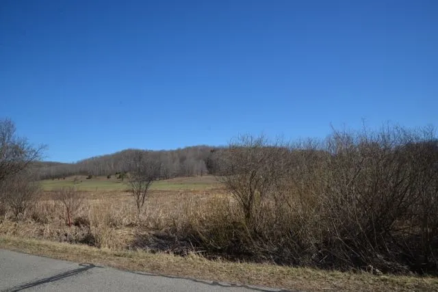 Wilson Road Echo Township, MI 49727
