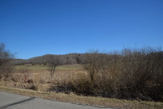 Wilson Road Echo Township, MI 49727