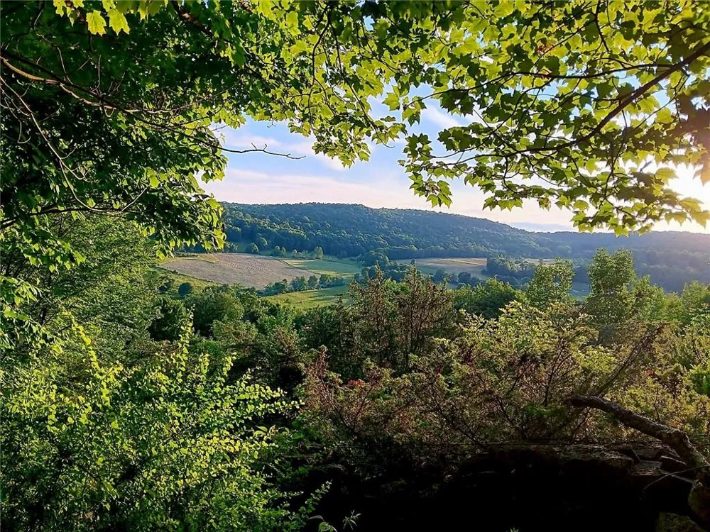 295 Pleasant Valley Road North Branch, NY 12766