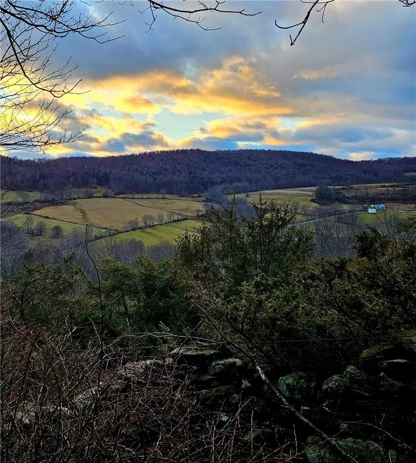 295 Pleasant Valley Road North Branch, NY 12766