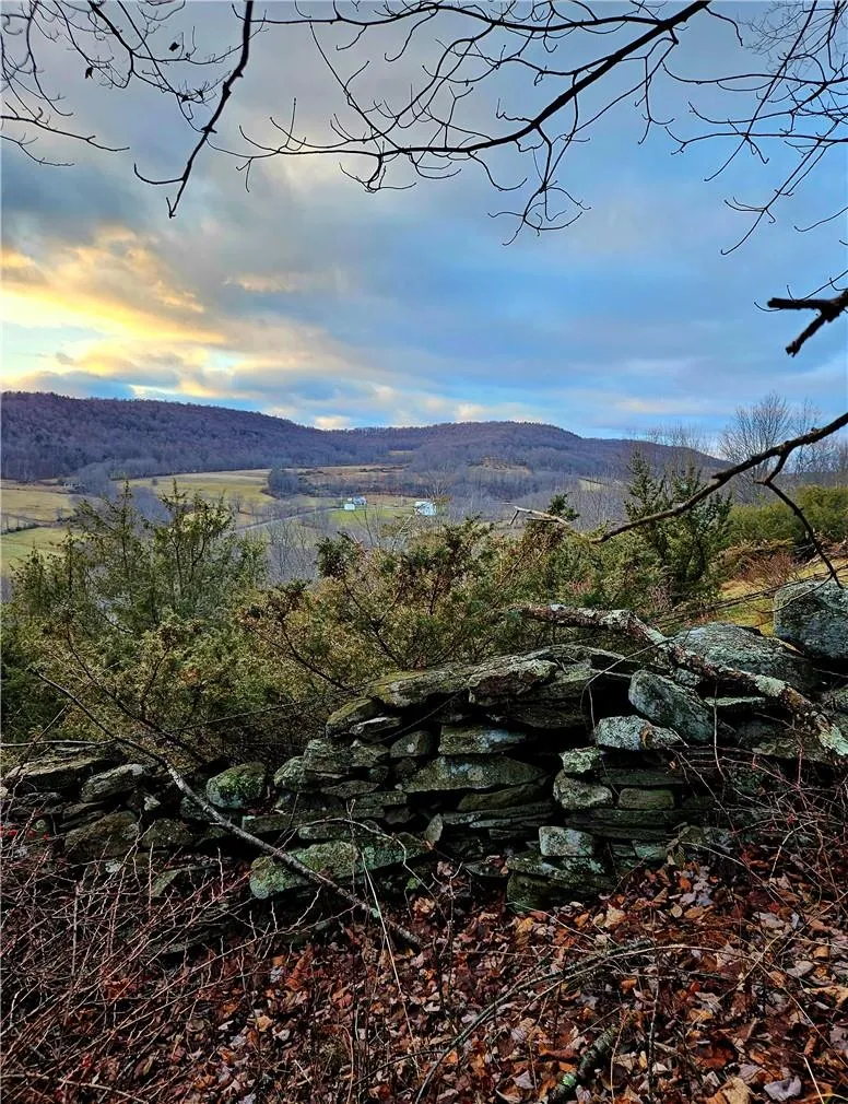 295 Pleasant Valley Road North Branch, NY 12766