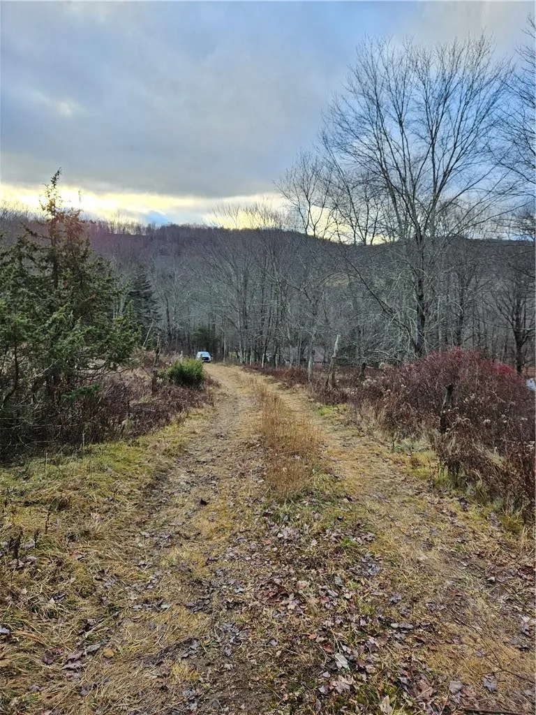 295 Pleasant Valley Road North Branch, NY 12766
