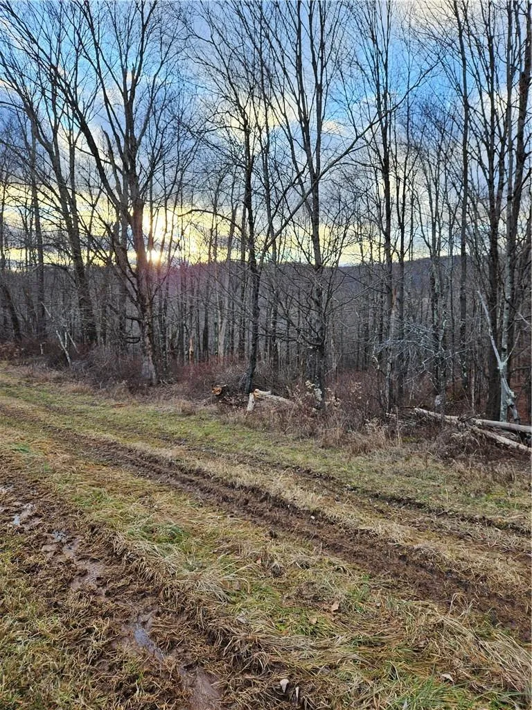 295 Pleasant Valley Road North Branch, NY 12766