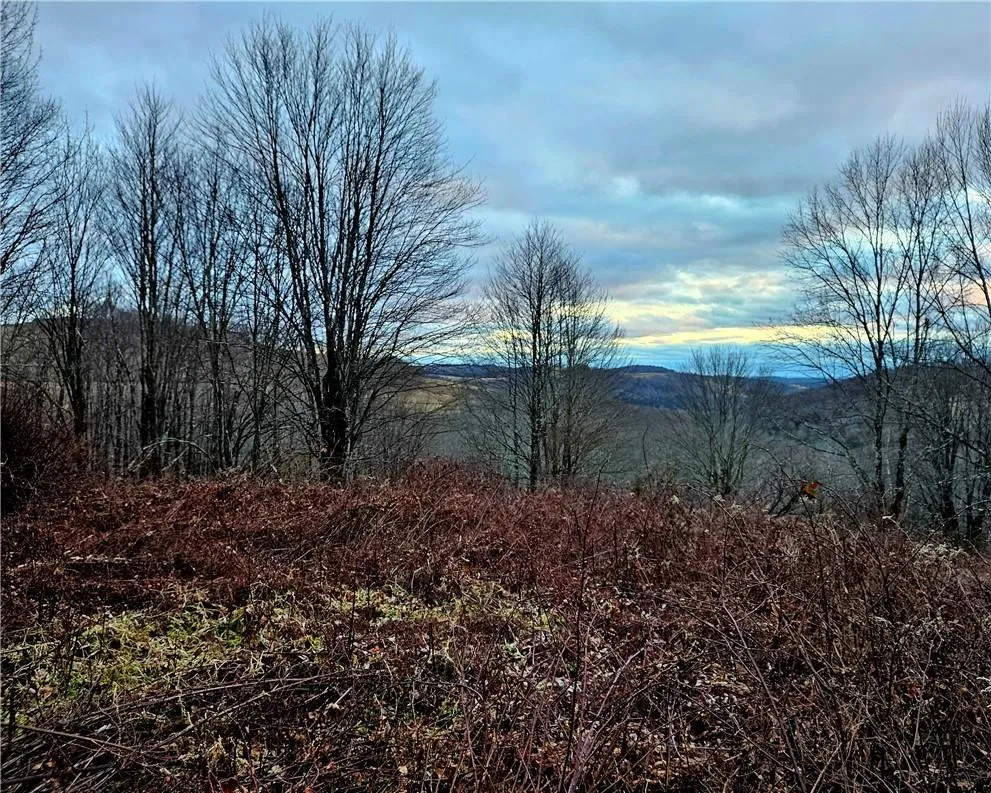 295 Pleasant Valley Road North Branch, NY 12766