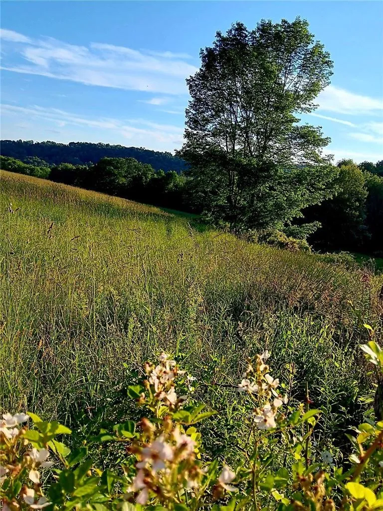 295 Pleasant Valley Road North Branch, NY 12766