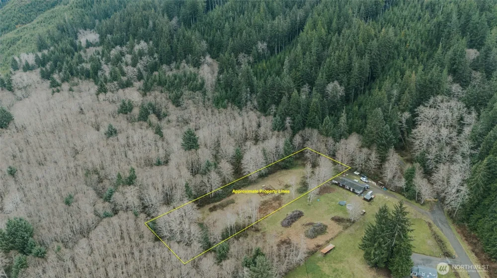 215 Elk Creek Ridge Road Forks, WA 98331