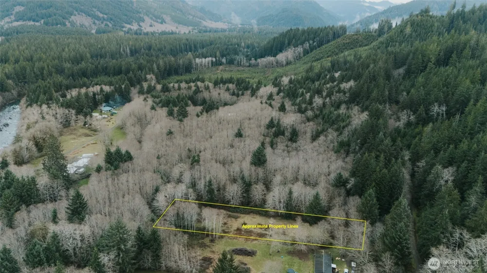 215 Elk Creek Ridge Road Forks, WA 98331
