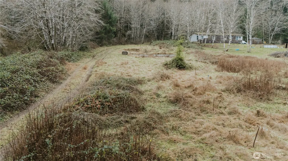 215 Elk Creek Ridge Road Forks, WA 98331