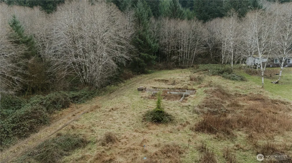215 Elk Creek Ridge Road Forks, WA 98331