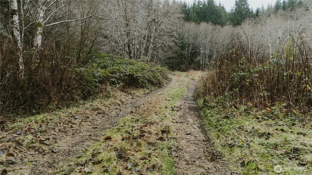 215 Elk Creek Ridge Road Forks, WA 98331