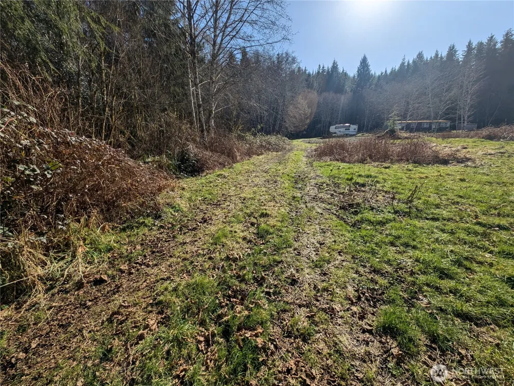 215 Elk Creek Ridge Road Forks, WA 98331