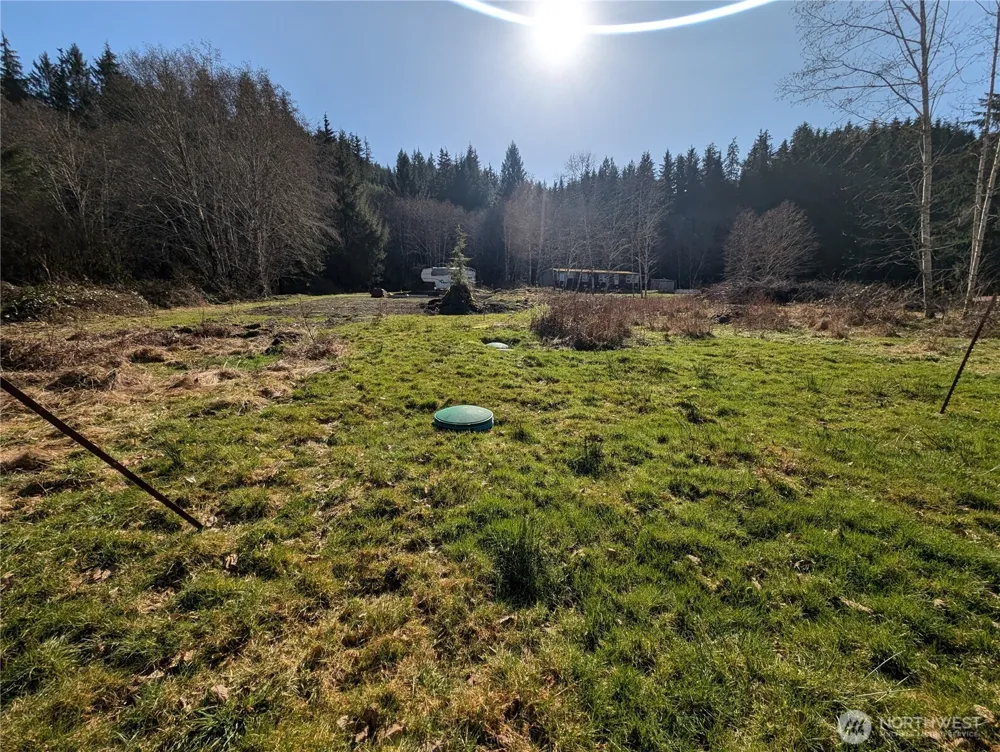 215 Elk Creek Ridge Road Forks, WA 98331