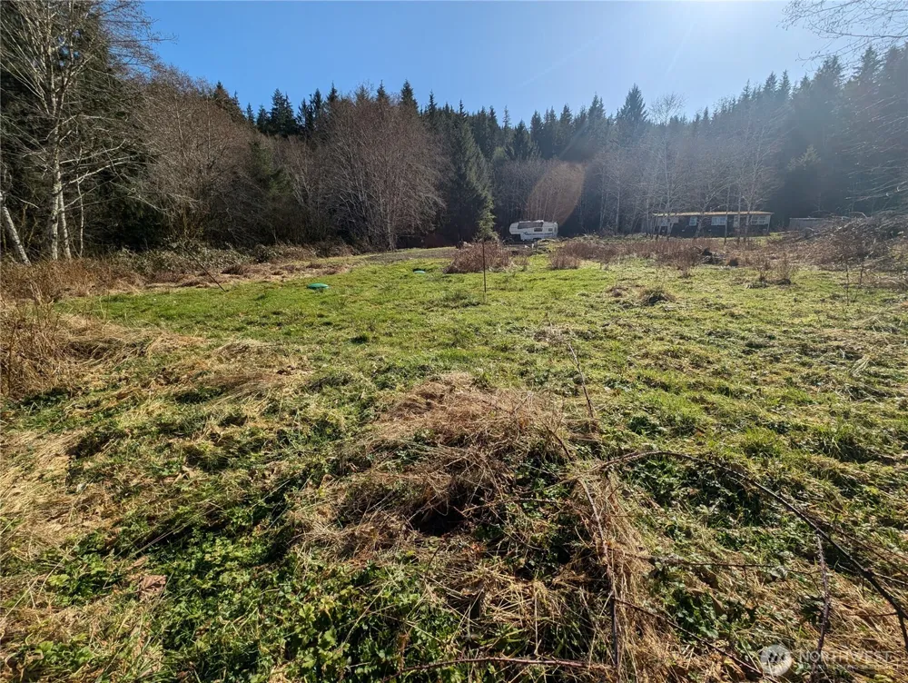 215 Elk Creek Ridge Road Forks, WA 98331