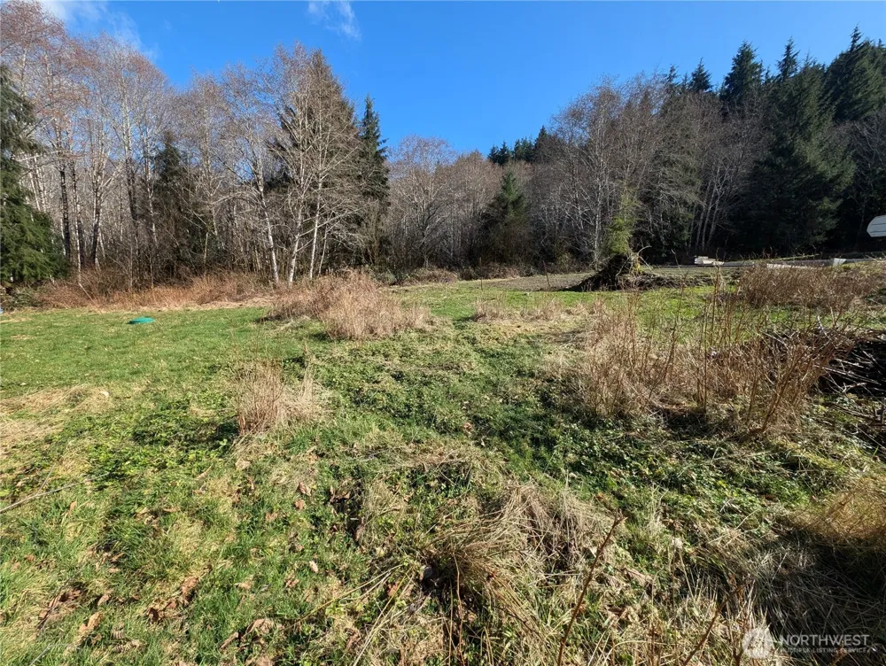 215 Elk Creek Ridge Road Forks, WA 98331