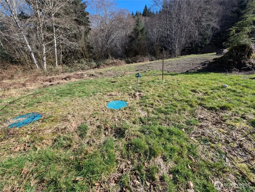 215 Elk Creek Ridge Road Forks, WA 98331