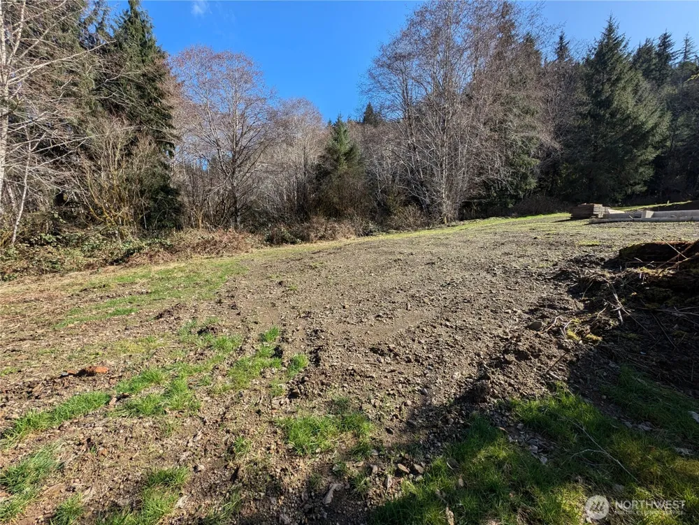 215 Elk Creek Ridge Road Forks, WA 98331