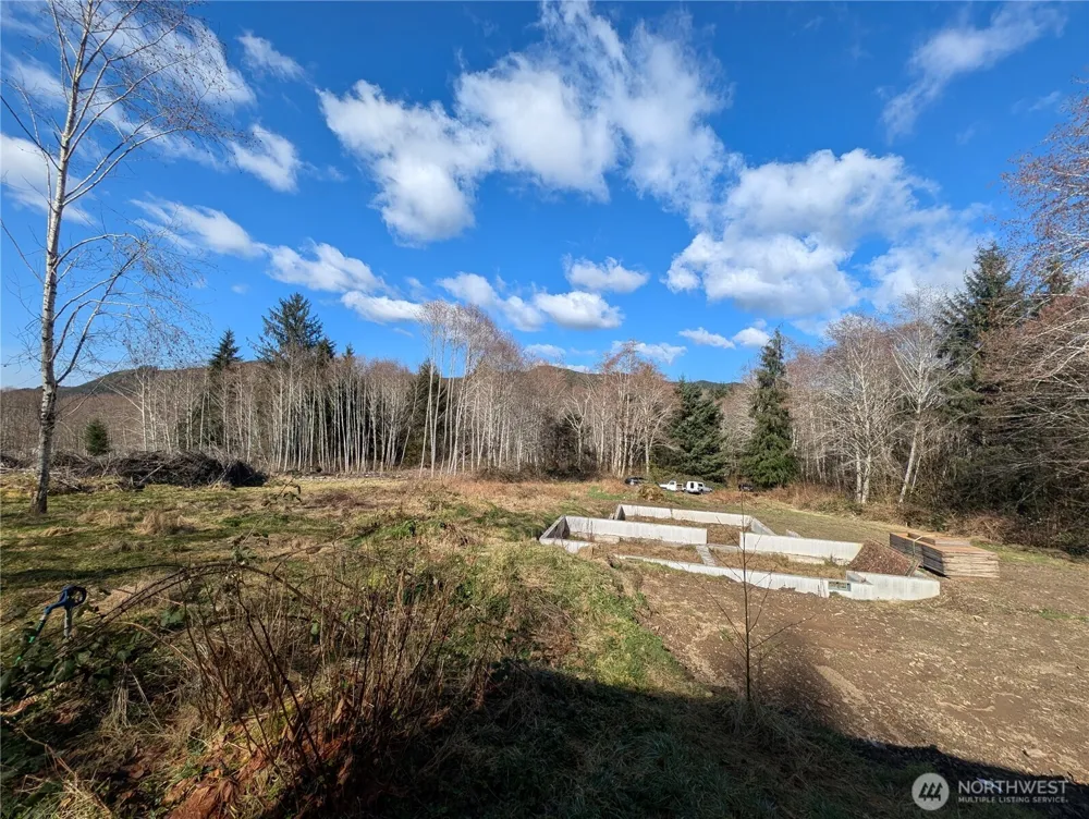215 Elk Creek Ridge Road Forks, WA 98331