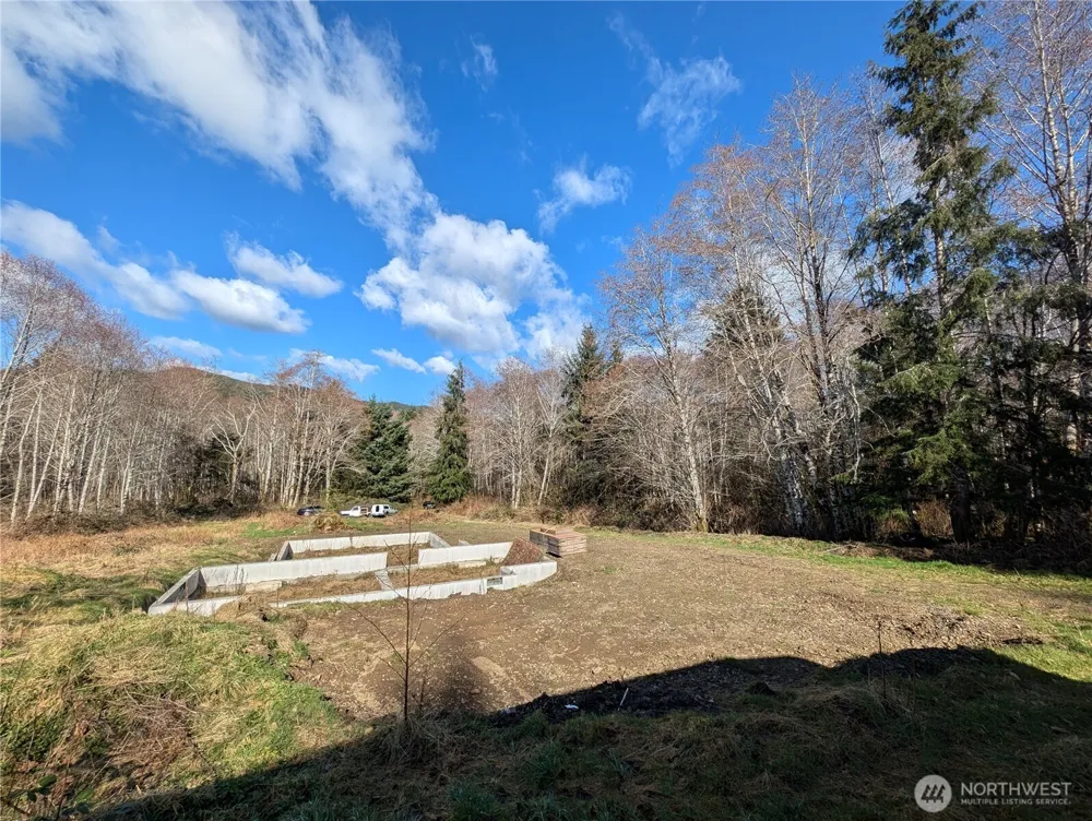215 Elk Creek Ridge Road Forks, WA 98331