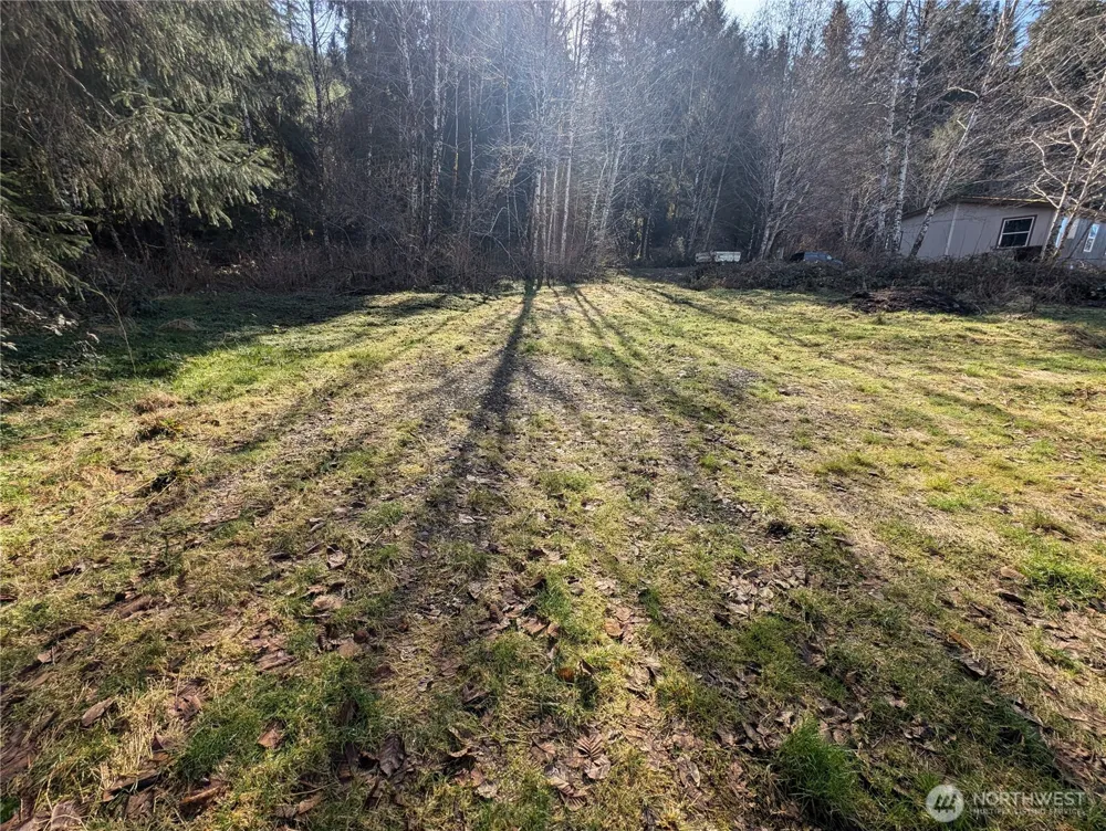 215 Elk Creek Ridge Road Forks, WA 98331