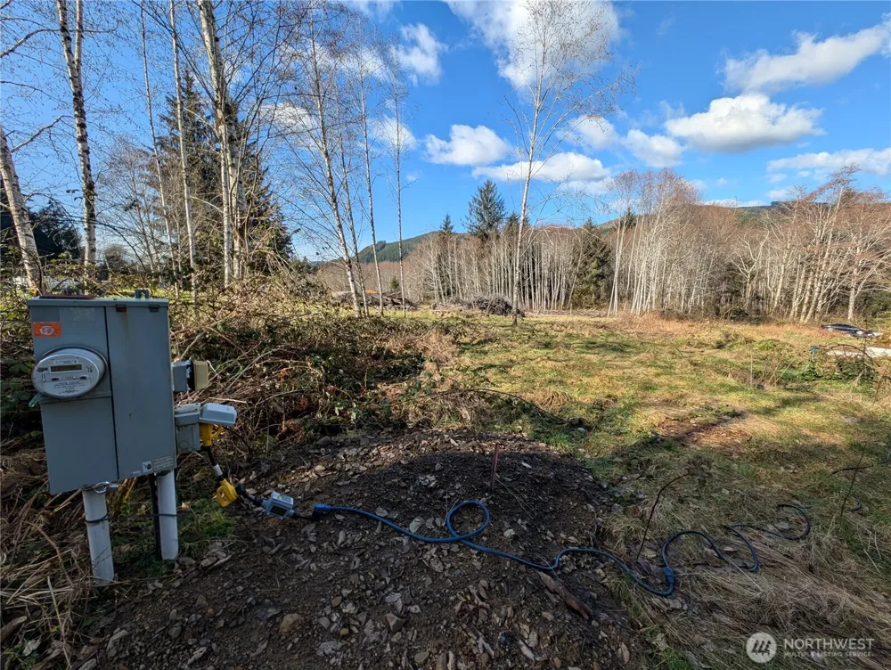 215 Elk Creek Ridge Road Forks, WA 98331