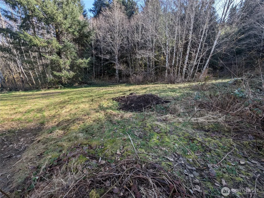 215 Elk Creek Ridge Road Forks, WA 98331