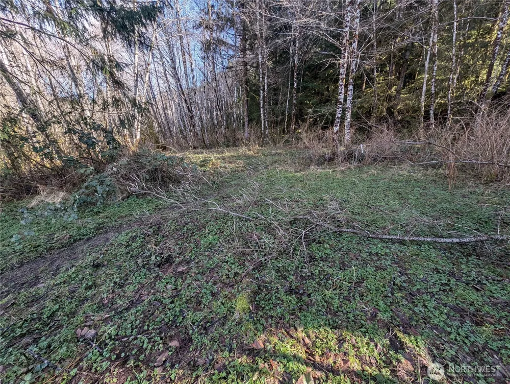 215 Elk Creek Ridge Road Forks, WA 98331