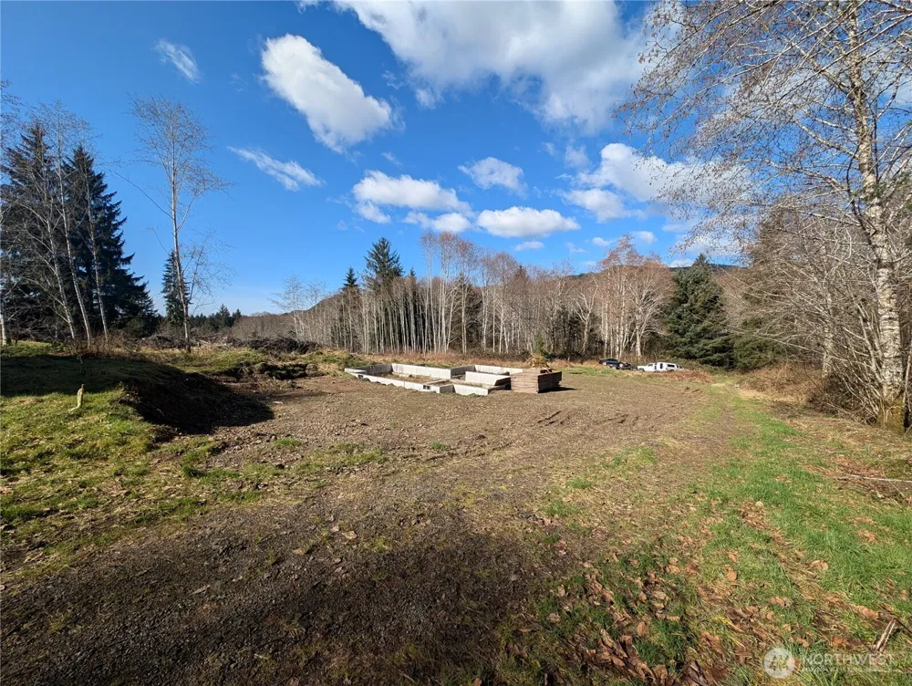 215 Elk Creek Ridge Road Forks, WA 98331