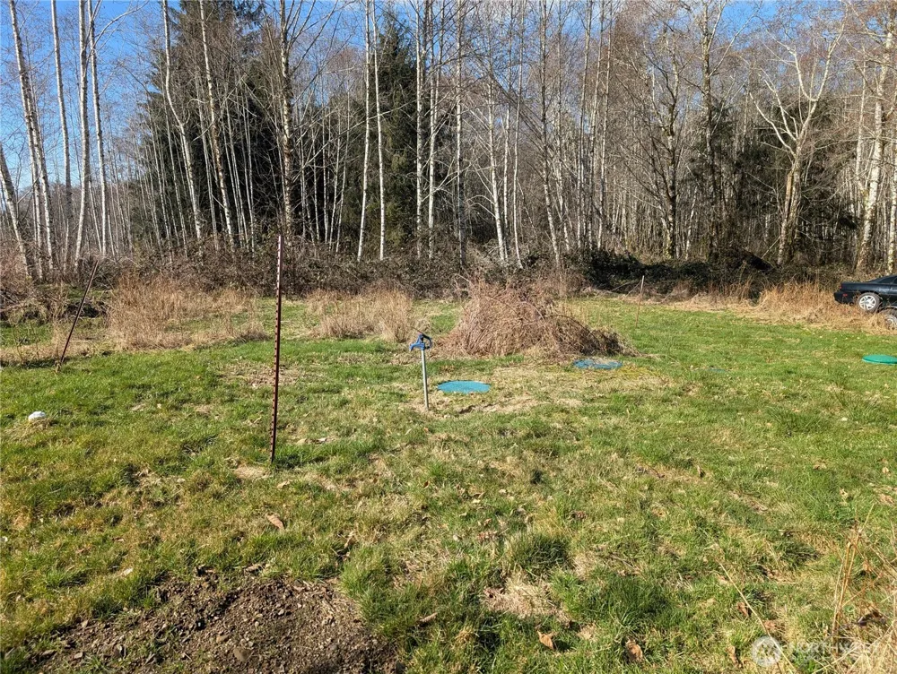 215 Elk Creek Ridge Road Forks, WA 98331