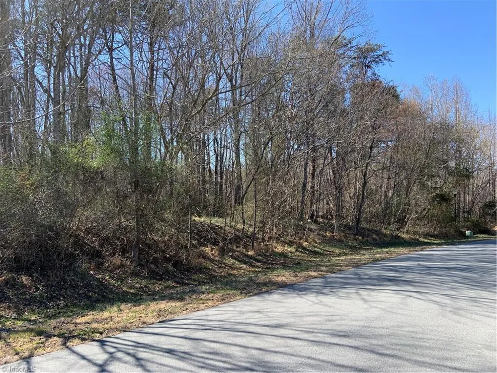 228 Sitting Rock Drive Madison, NC 27025
