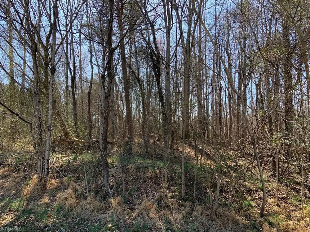 228 Sitting Rock Drive Madison, NC 27025